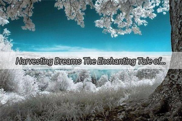 Harvesting Dreams The Enchanting Tale of a Womans Vision in the Mountains